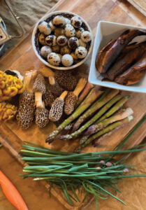 Top 10 Homesteading Skills Image